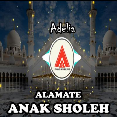 Alamate Anak Sholeh's cover