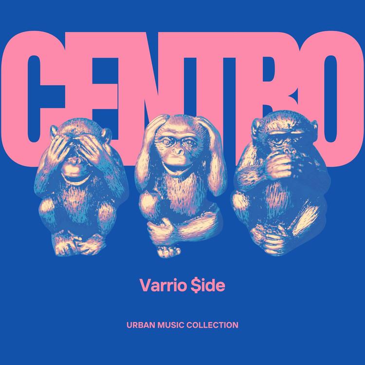 Varrio $ide's avatar image