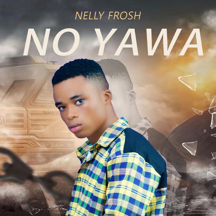 Nelly Frosh's avatar image