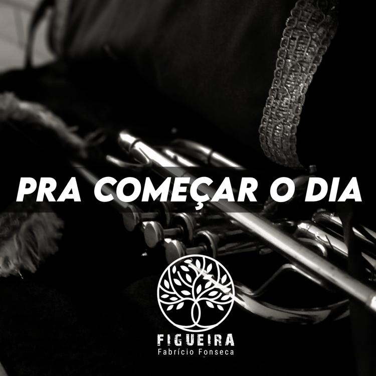 Fabrício Figueira's avatar image
