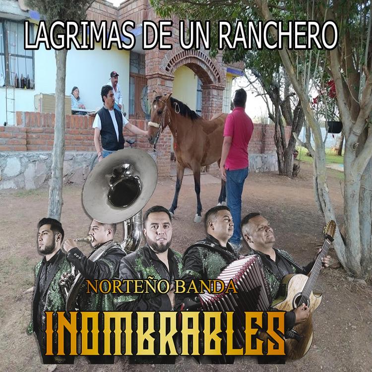 Inombrables de zacatecas's avatar image