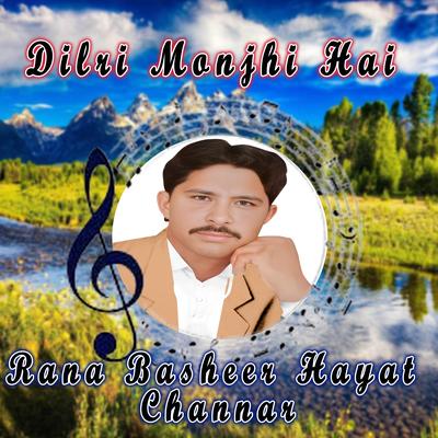 Rana Basheer Hayat Channar's cover