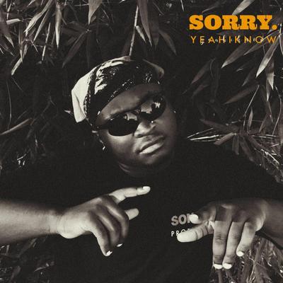 Sorry's cover