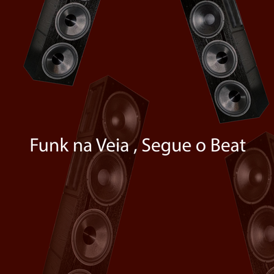 Funk na Veia , Segue o Beat (Remix)'s cover