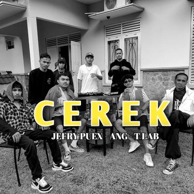 Cerek's cover