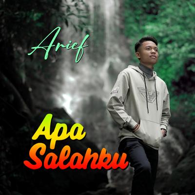 Apa Salahku's cover