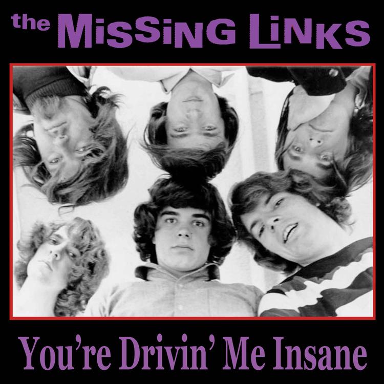 The Missing Links's avatar image