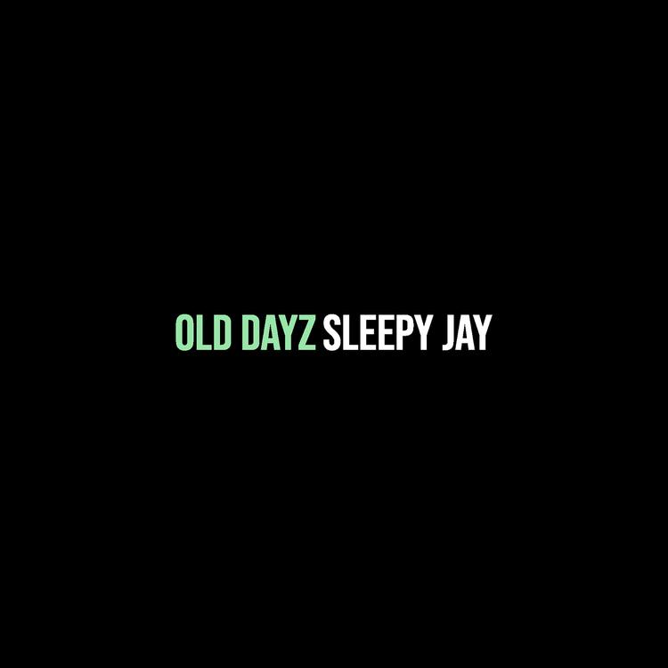 Sleepy jay's avatar image