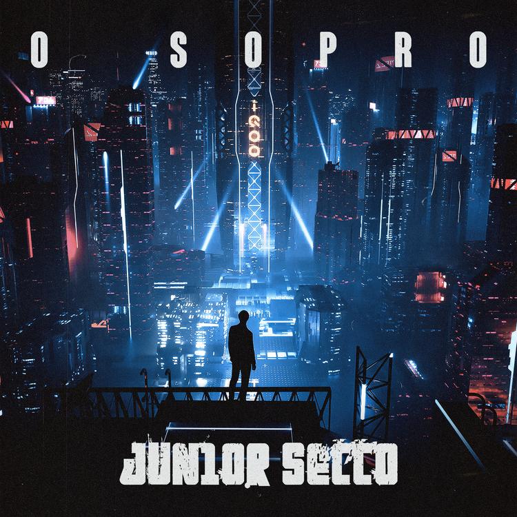 Junior Secco's avatar image