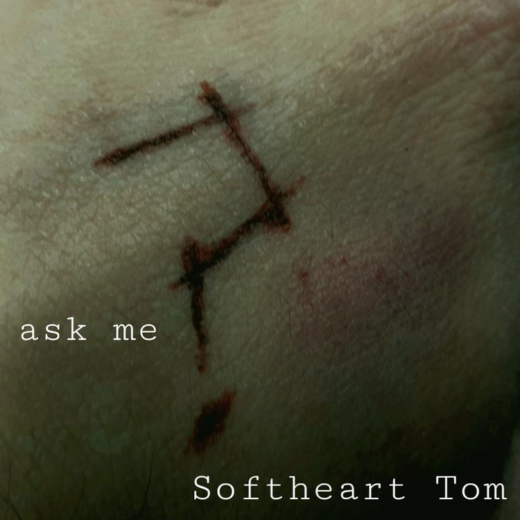 Softheart Tom's avatar image