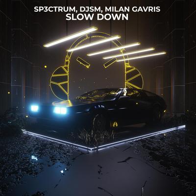 Slow Down By SP3CTRUM, DJSM, Milan Gavris's cover