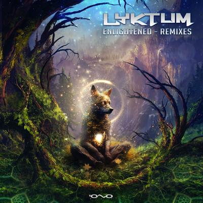Enlightened By Lyktum, Soul Shine's cover