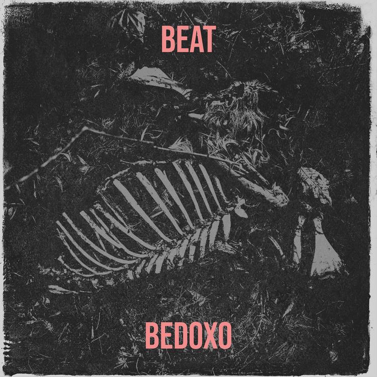 BedoxO's avatar image