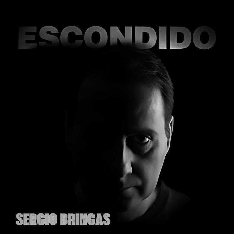 Sergio Bringas's avatar image