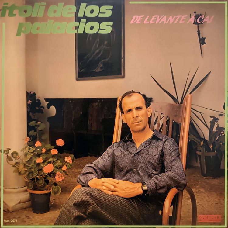 Itoli de los Palacios's avatar image