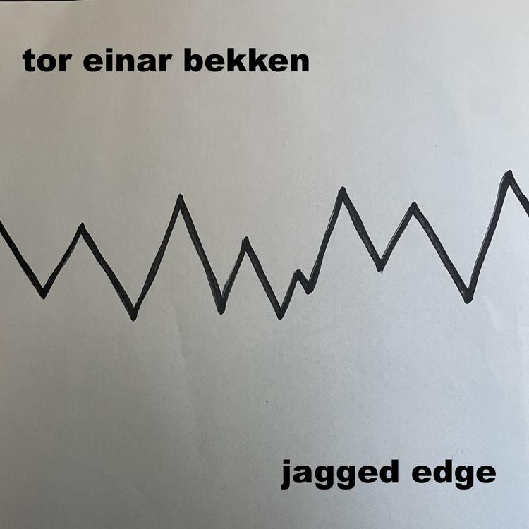 Tor Einar Bekken's avatar image