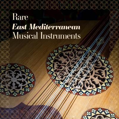 Rare East Mediterranean Musical Instruments's cover