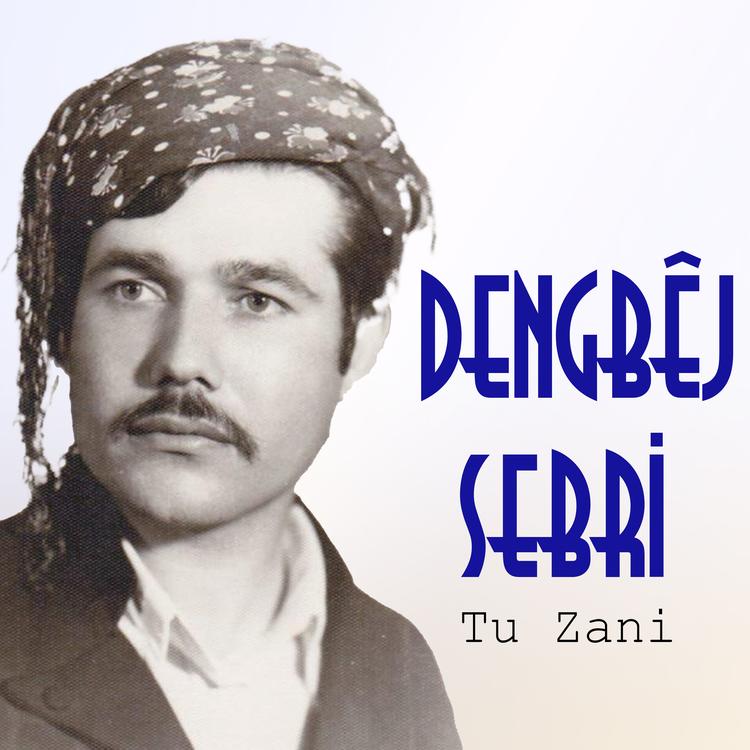 Dengbej Sebri's avatar image