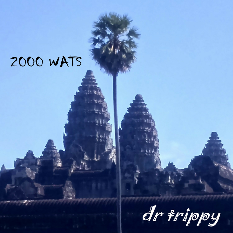 dr trippy's avatar image