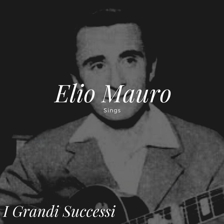 Elio Mauro's avatar image