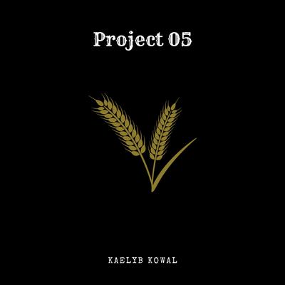 Project 05's cover
