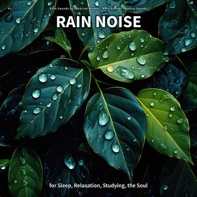 Rain Sound to Relax Your Body and Mind By Rain Sounds by Zakariae Witmer, Rain Sounds, Nature Sounds's cover