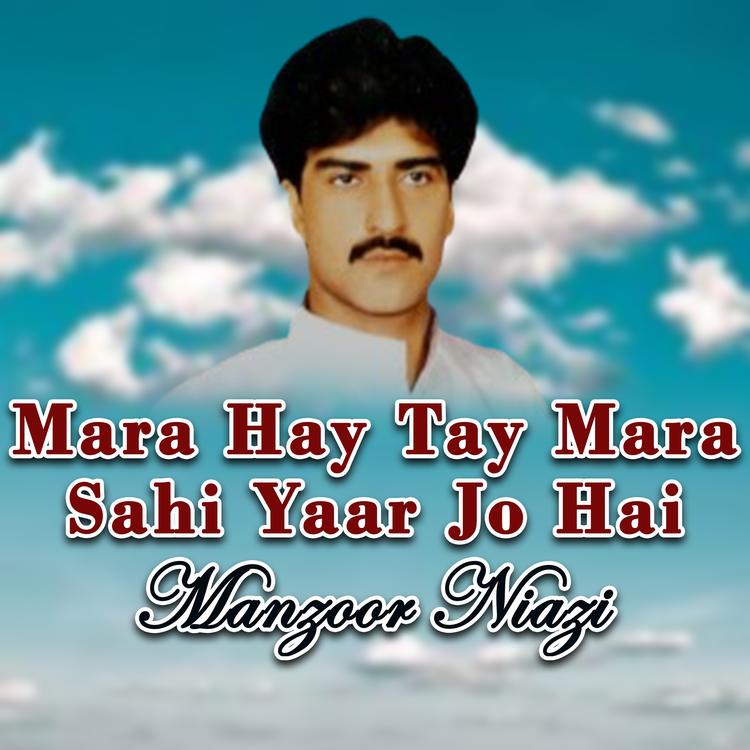 Manzoor Niazi's avatar image