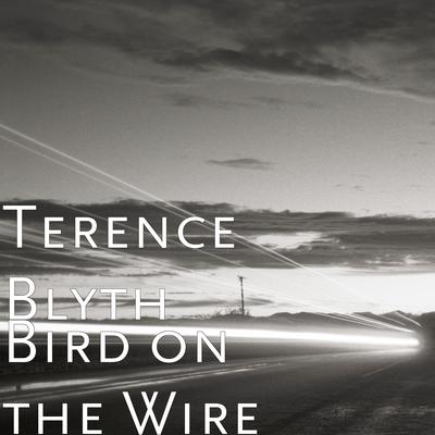 Bird on the Wire's cover