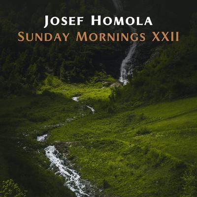 Sunday Mornings XXII's cover