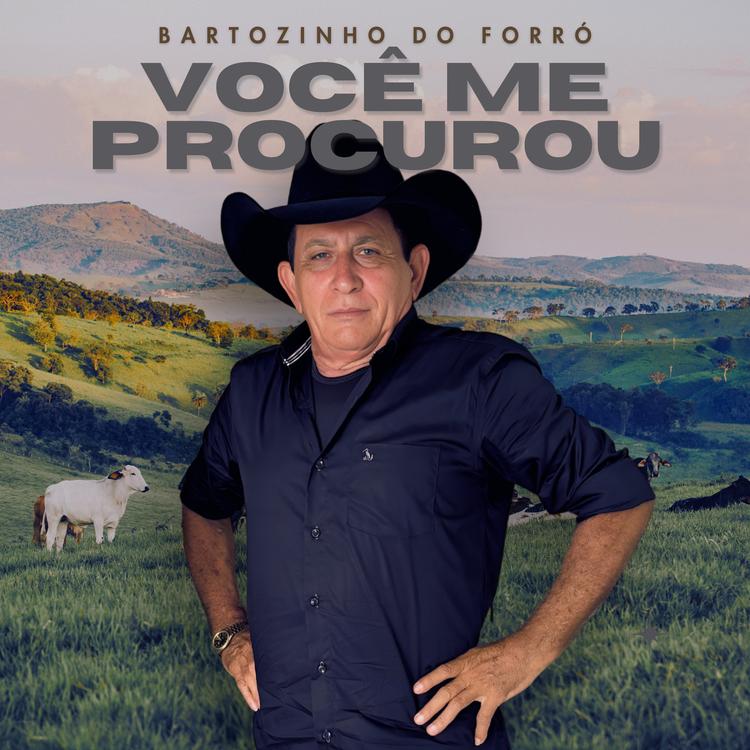 Bartozinho do Forró's avatar image