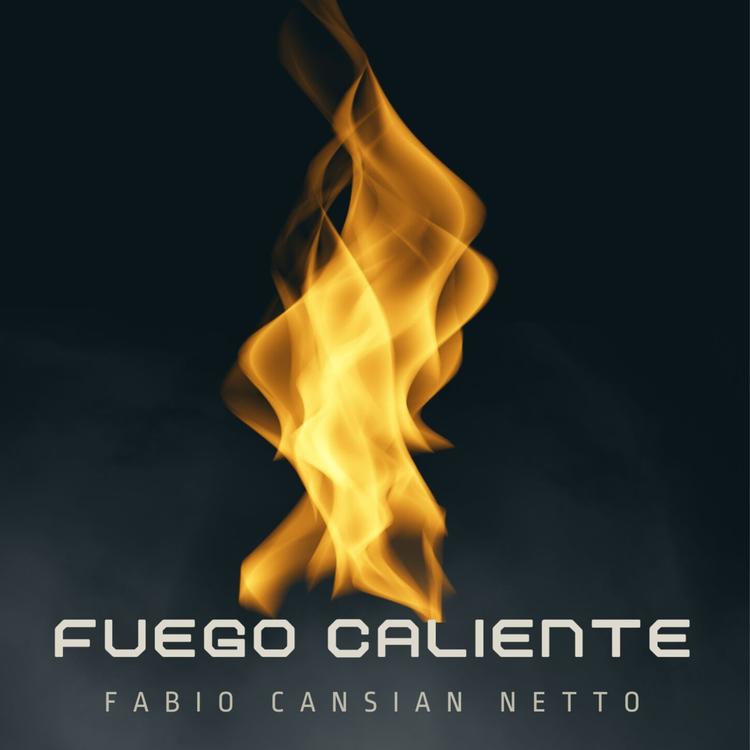 Fabio Cansian Netto's avatar image