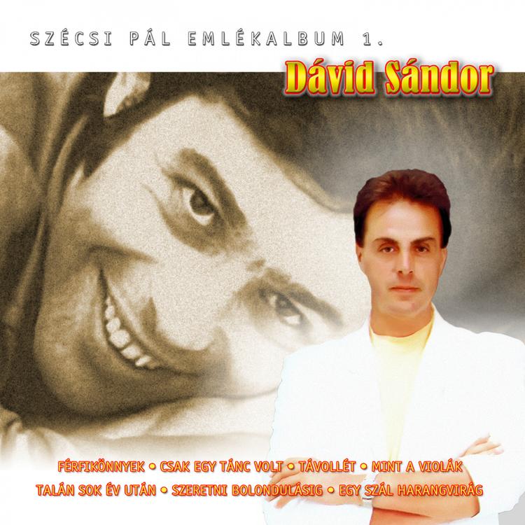 Dávid Sándor's avatar image