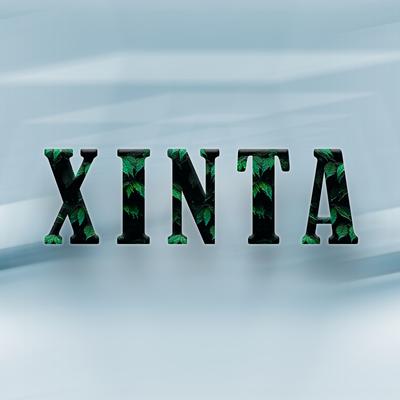 Xinta's cover