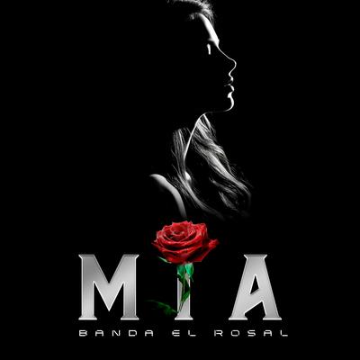Banda El Rosal's cover