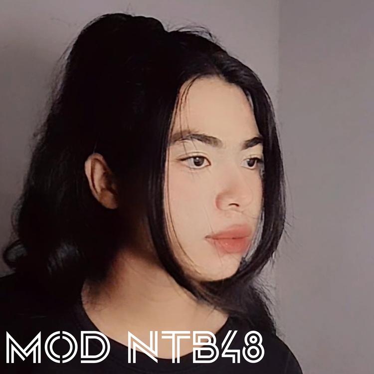 Mod NTB48's avatar image