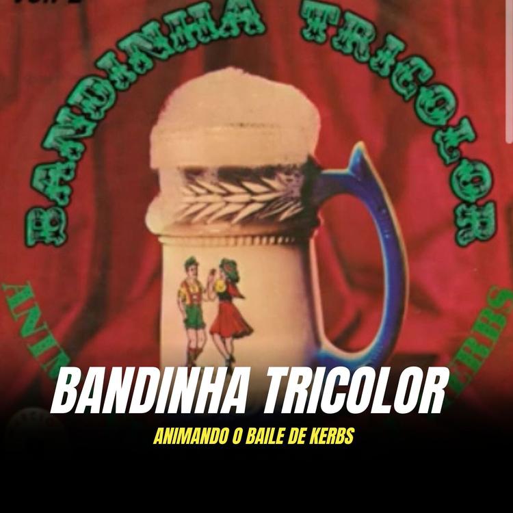 Bandinha Tricolor's avatar image