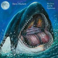 Steve Hackett's avatar cover