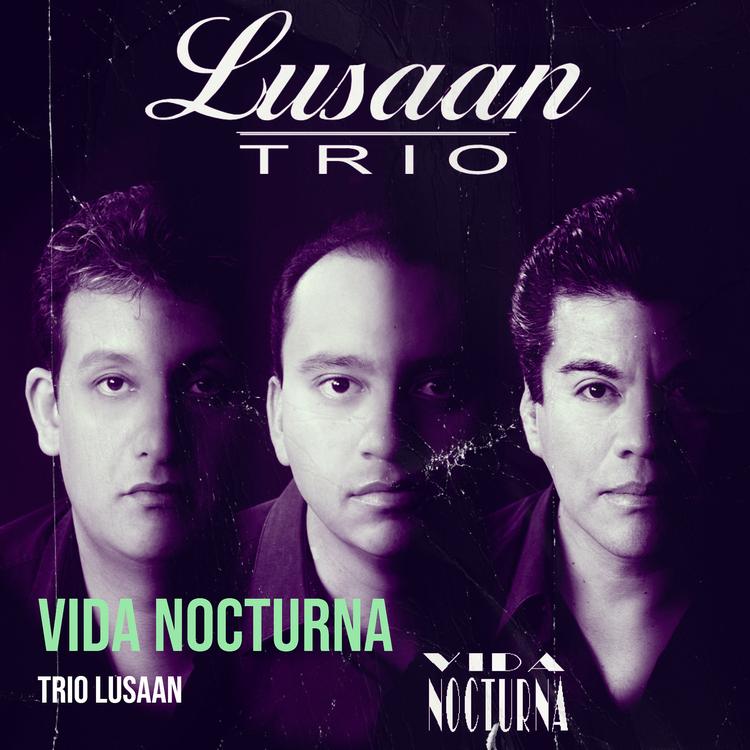 Trio Lusaan's avatar image