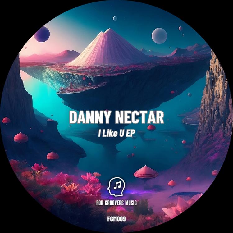 Danny Nectar's avatar image