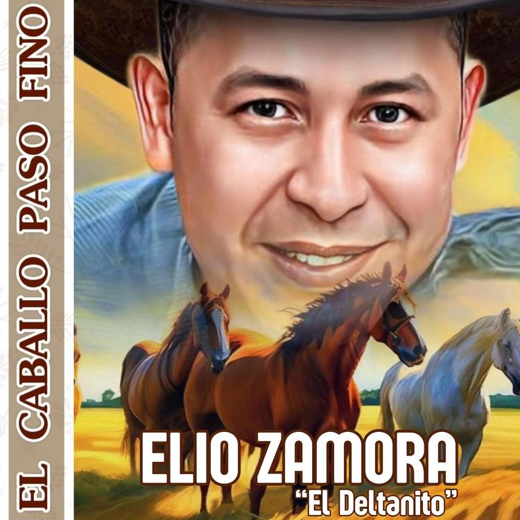 Elio Zamora "El Deltanito"'s avatar image