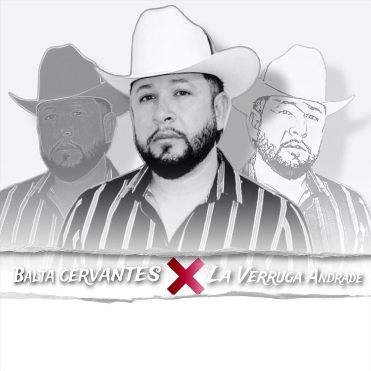 Balta Cervantes's avatar image