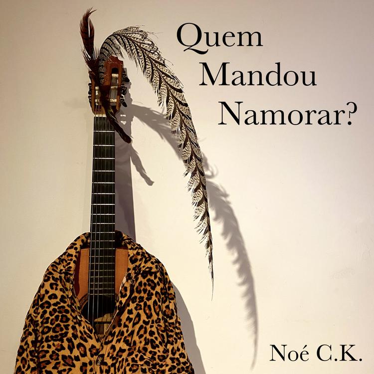Noé C.K's avatar image