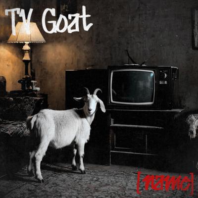 TV Goat's cover