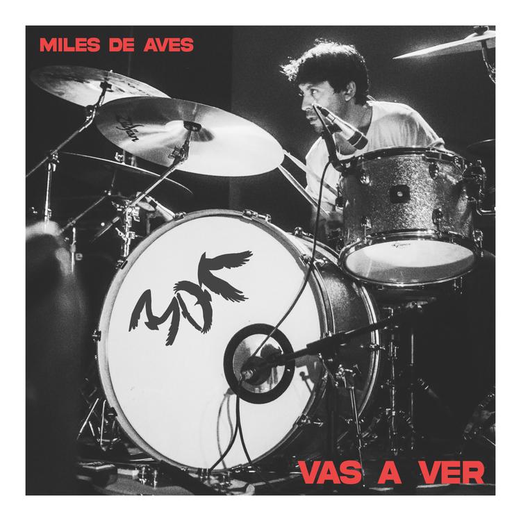 Miles de Aves's avatar image