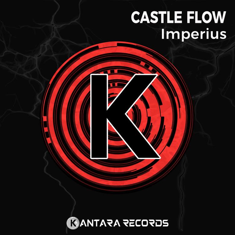 Castle Flow's avatar image