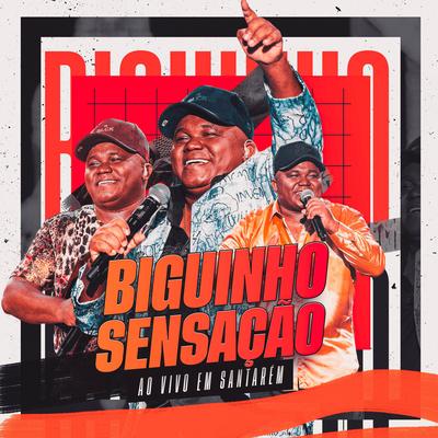 Tudo vai dar certo (Ao Vivo) By BIGUINHO SENSAÇÃO's cover