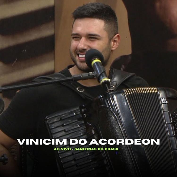 Vinicim do Acordeon's avatar image