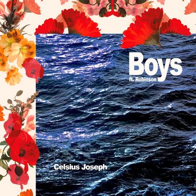 Boys By Celsius Joseph, Robinson's cover