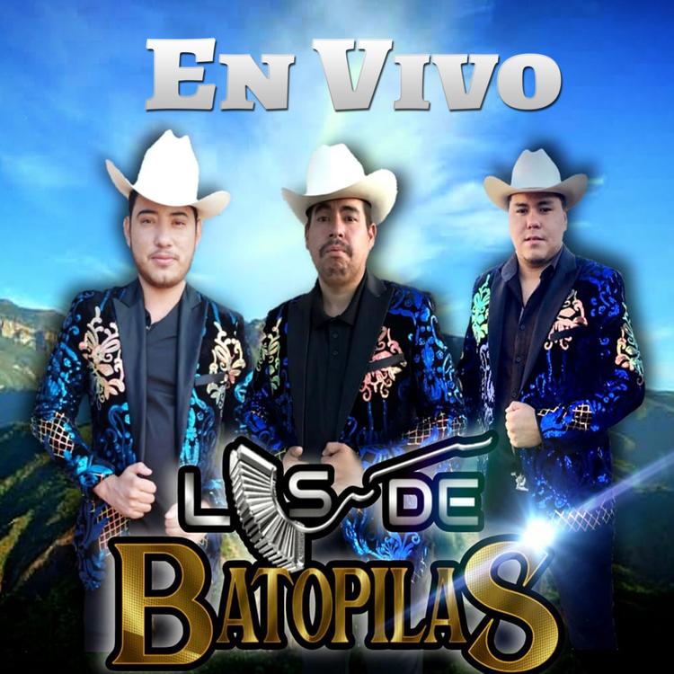 Los De Batopilas's avatar image