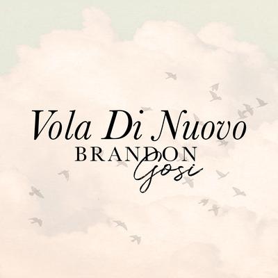 Vola Di Nuovo's cover